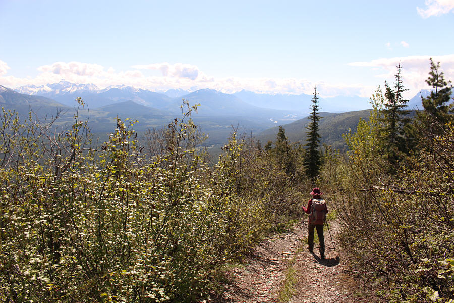 Nothing complicated here!