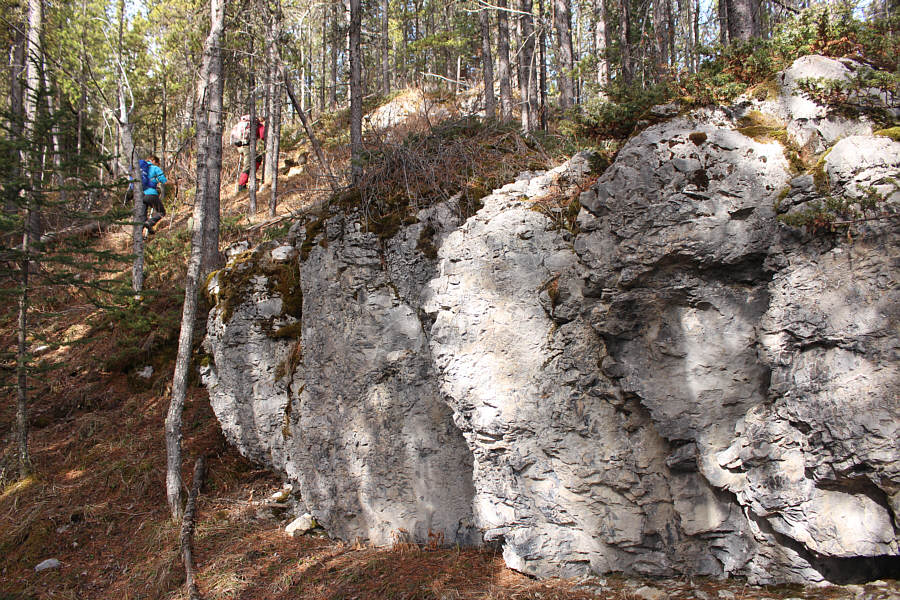 Bouldering opportunities?