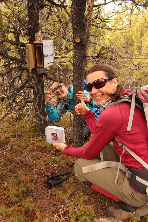 Nice geocache box on the tree!
