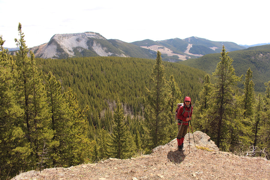 Myosotis Peak is next up on my to-do list for this area...