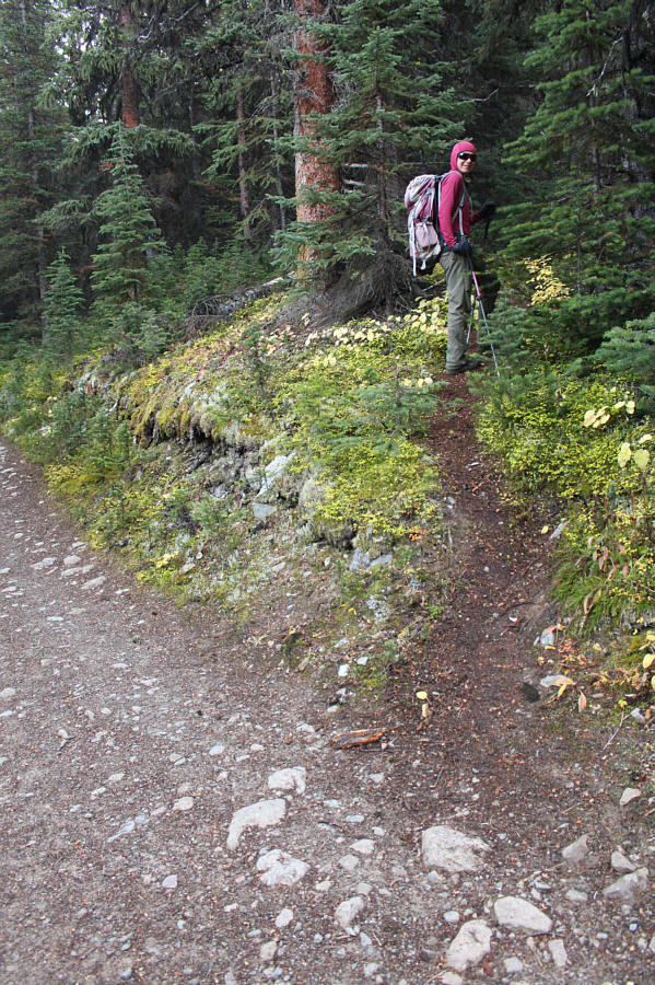 Easy to miss if you're not paying attention!