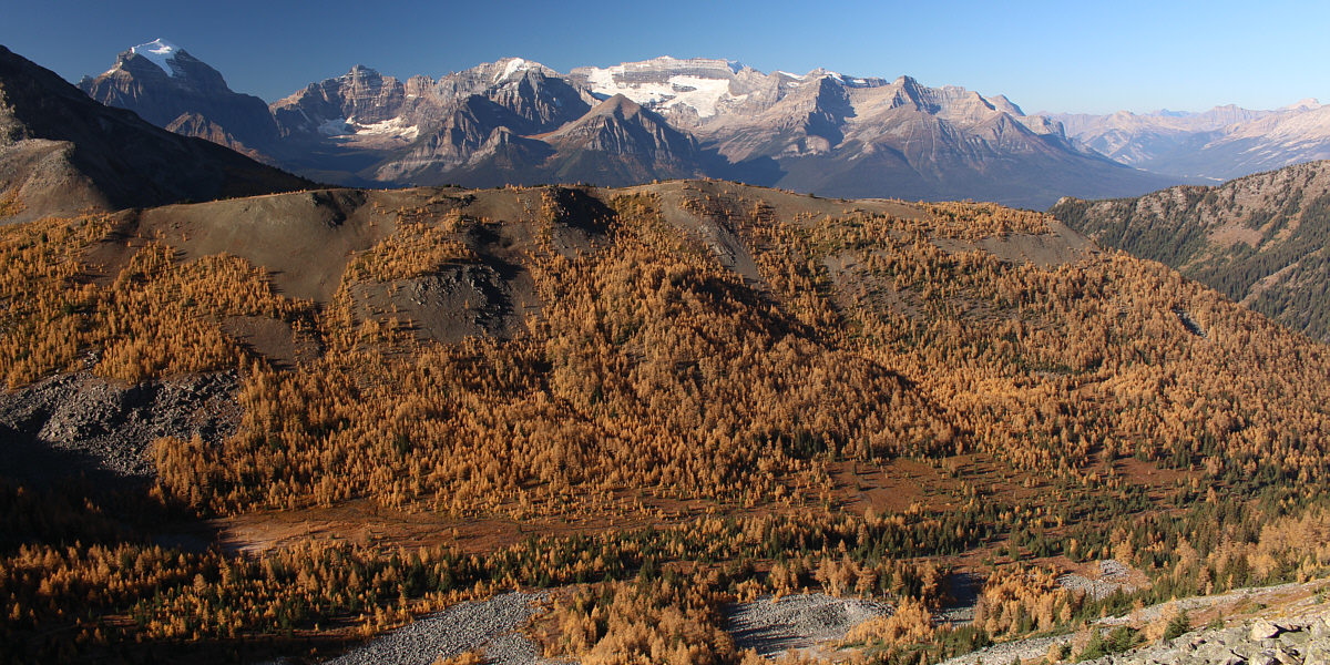 The "larch valley" nobody knows about!