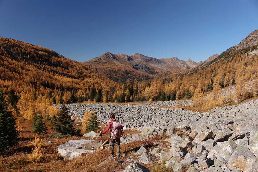 Some of the grassy meadows are boggy, so the edge of the talus is the sweet spot!