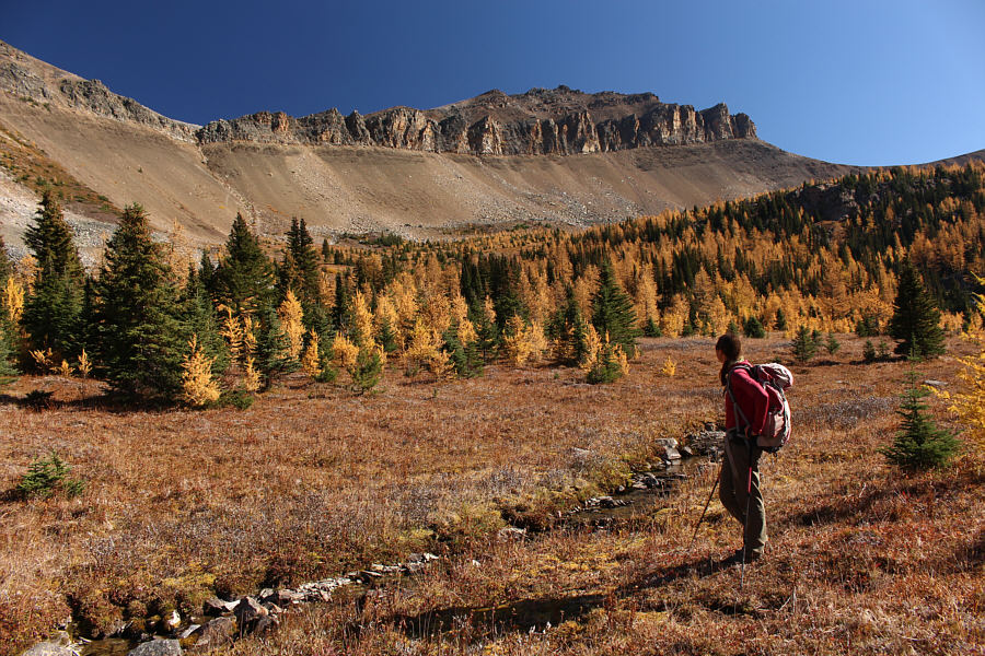 Thanks for the memories!