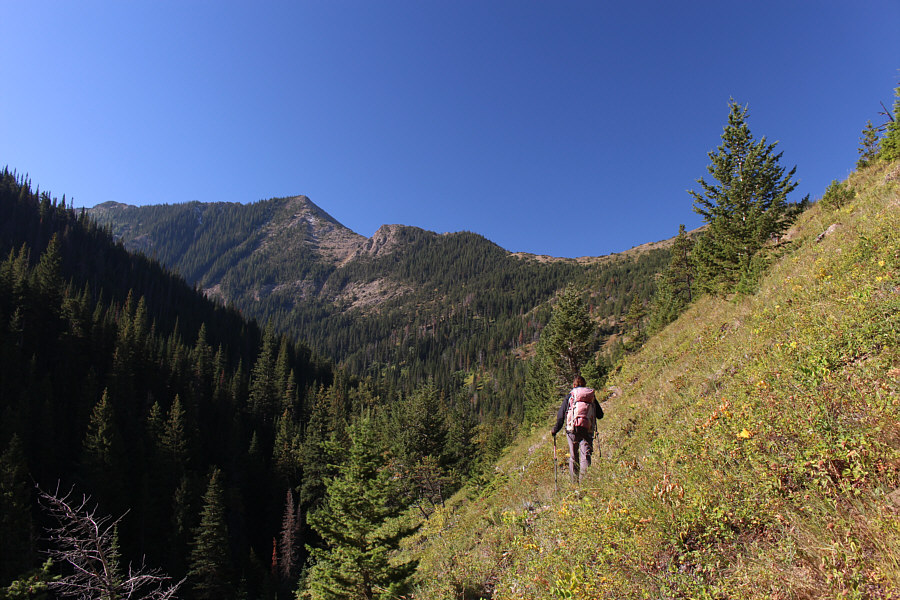 If possible, try not to lose elevation here!