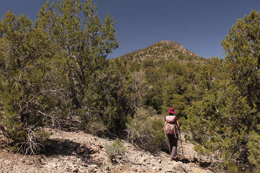 Still easier than the north ridge of Kingston Peak!