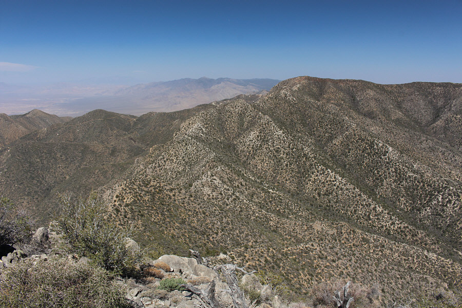 She bangs, she bangs!