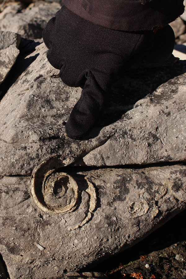 Alpine beachcombing?