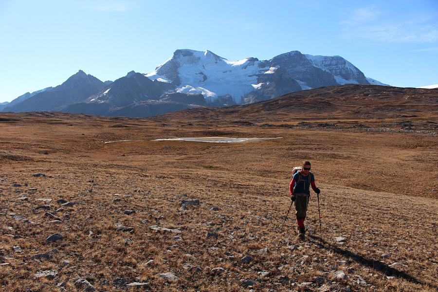 Nobody followed us...good!