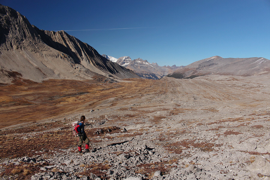 Looks like you could land a plane here!