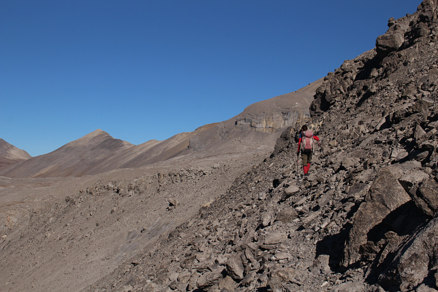 This would've been quite a miserable slog without the trail!