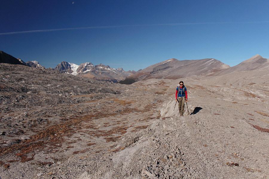 Yep, that's Mount Alberta at far left in the distance!
