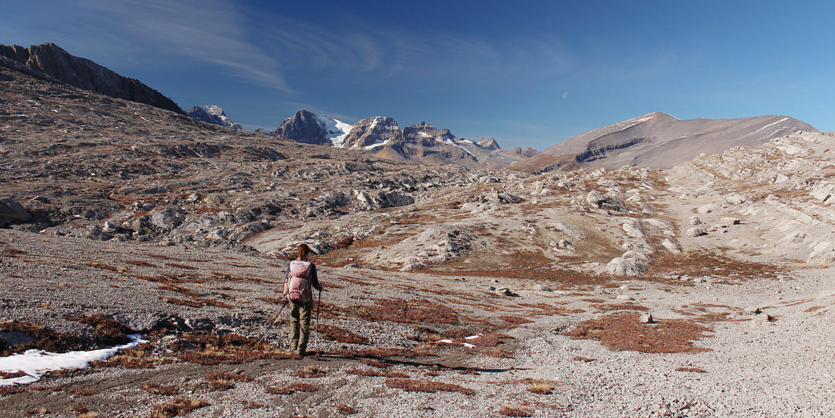 And it's appropriate that we still see the moon from this moonscape!