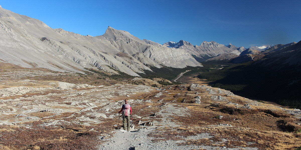 Don't try short-cutting back to the trailhead from here; there's a ravine lower down that might be tricky to get across.