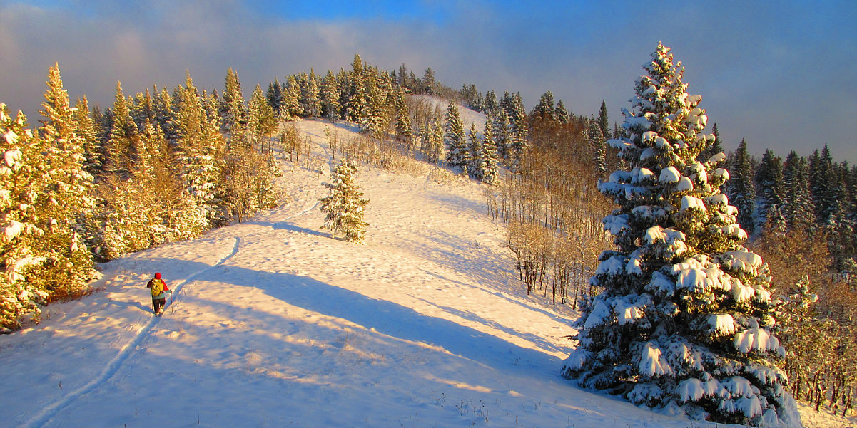 Mon dieu, break out the sunscreen!