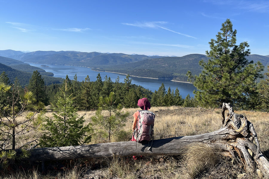 Just above the encampments near the National Forest boundary.