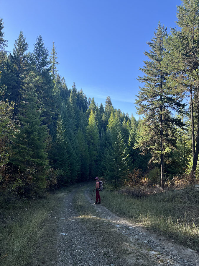 Would be easy to drive too if the road was open...