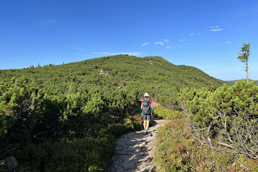 Would be tough bushwhacking--thank goodness for the trail!