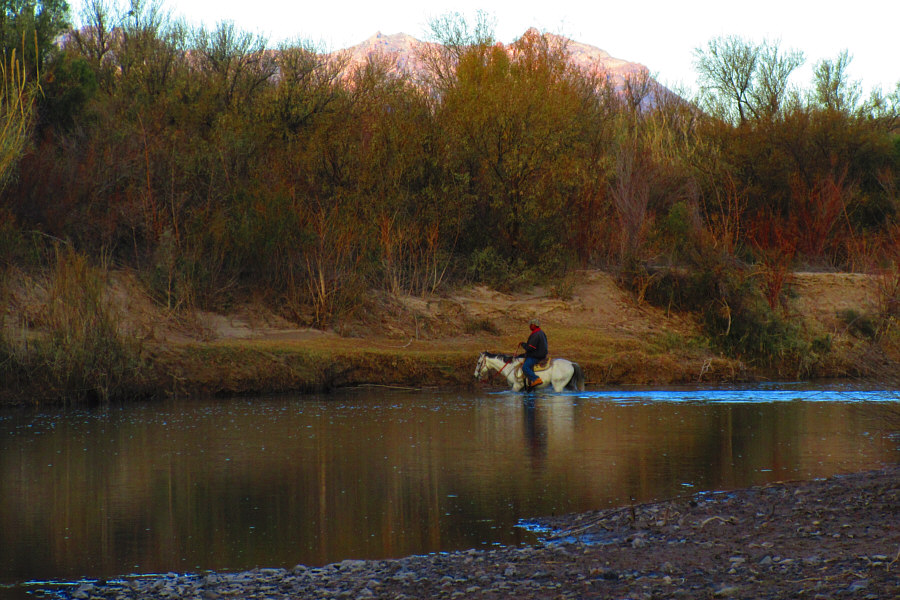 'Cause it's no fun being an illegal alien!