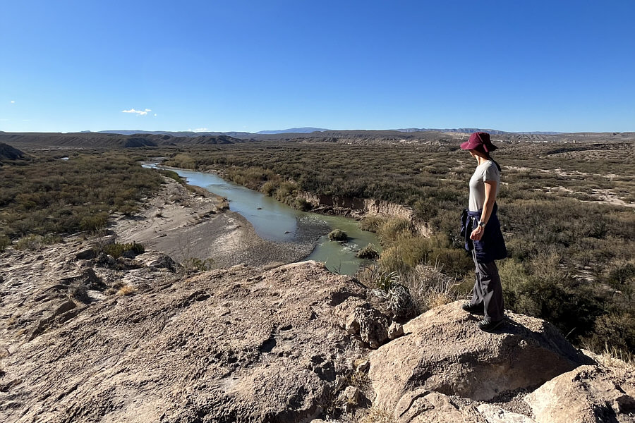 We saw a heron down at the river here.