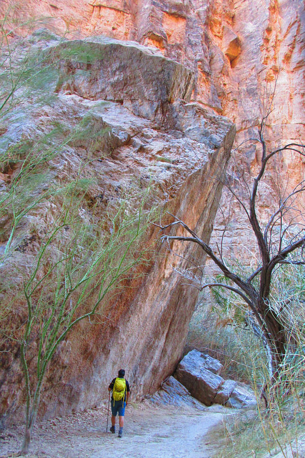 I wonder if anything got crushed underneath the rock...