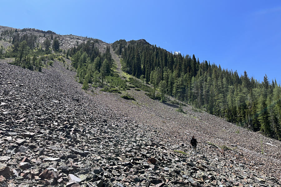 Yep, let's never do that again!