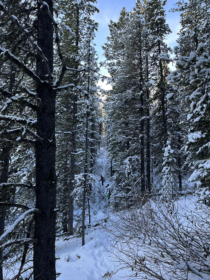 Pretty narrow cutline!