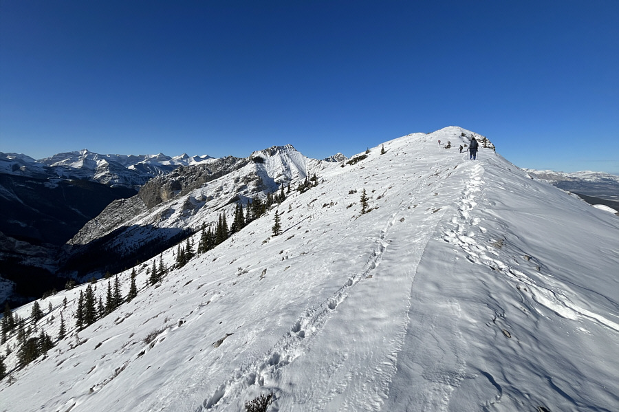 Note the fresh sheep tracks here...