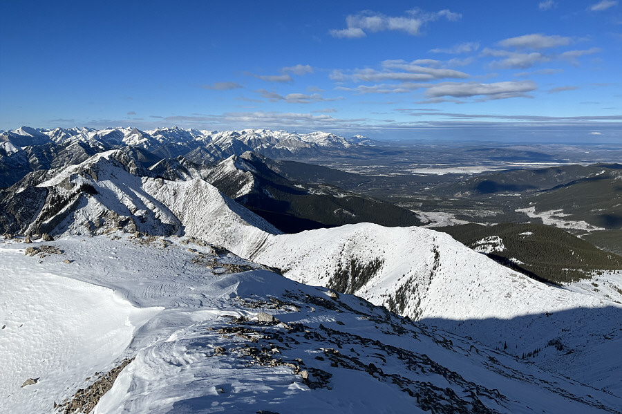 Not bad for a November scramble!