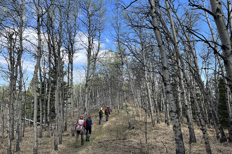 Quintessential foothills hiking.