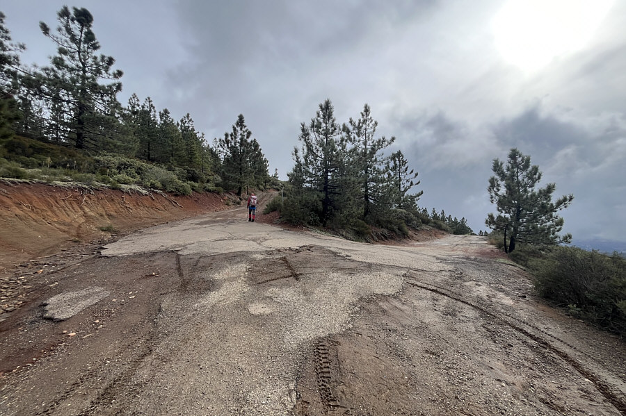 We probably could have driven here!