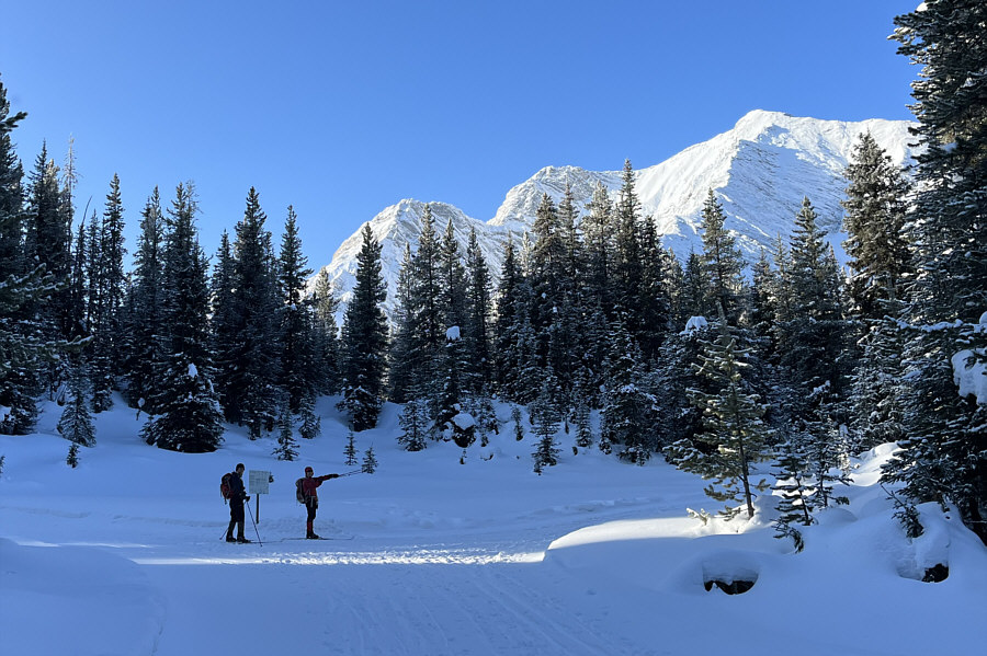 Beautiful but chilly morning!