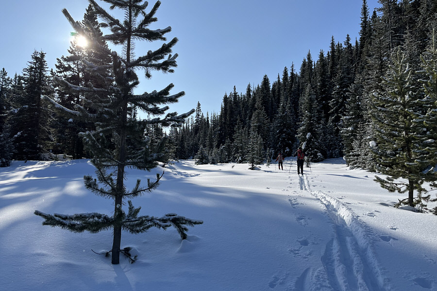 Looks more like we're going downstream than upstream!