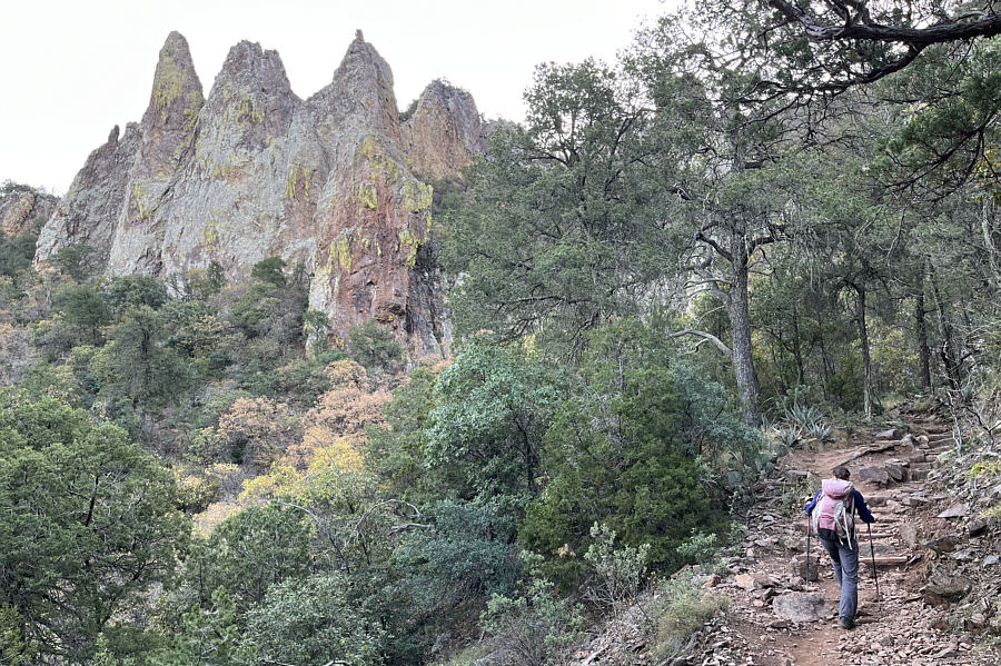 Definitely not what comes to mind when people think of Texas!