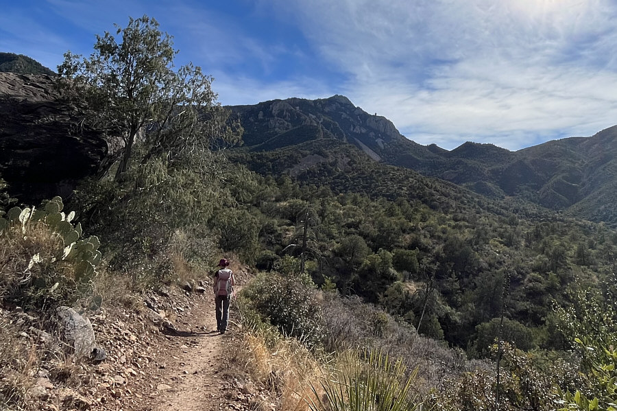 The last few switchbacks felt a bit long-winded at the end of the day!