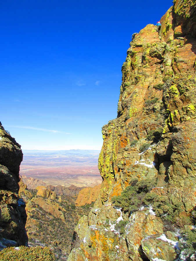 Yikes! That's quite the drop!