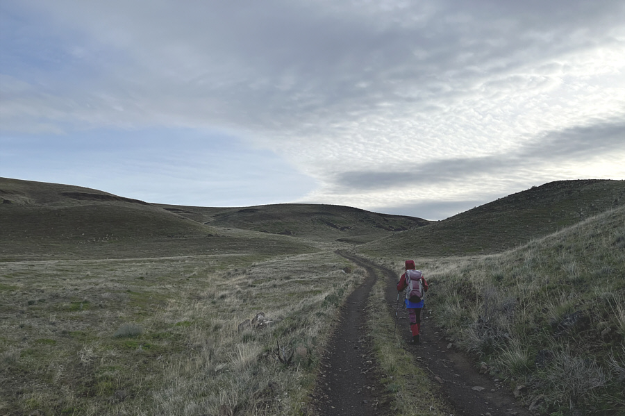 Would be nice for ski touring if there was snow...