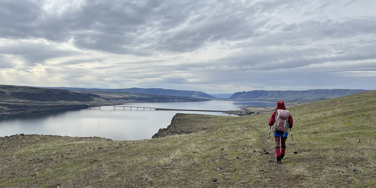 See the herd of sheep?