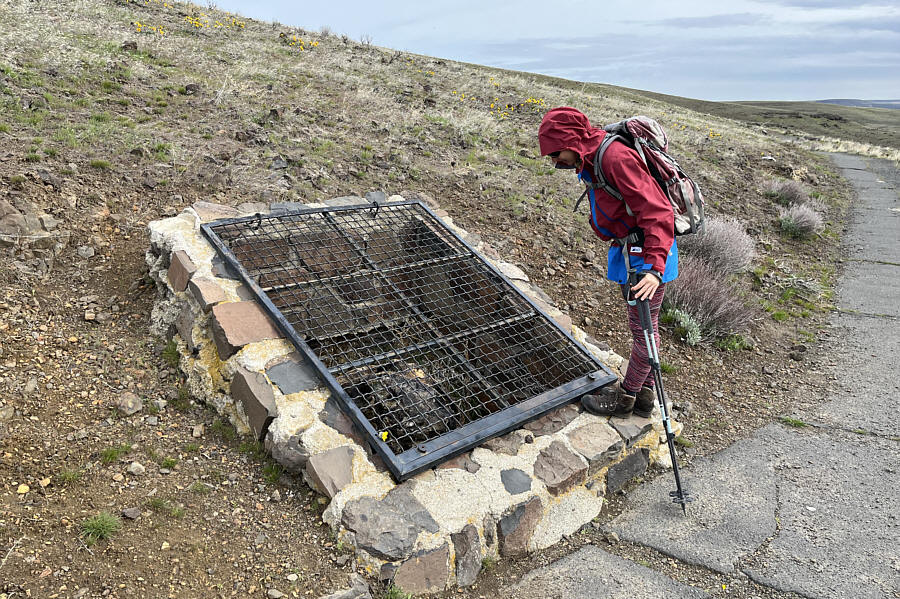 It's like visiting a zoo for petrified wood!