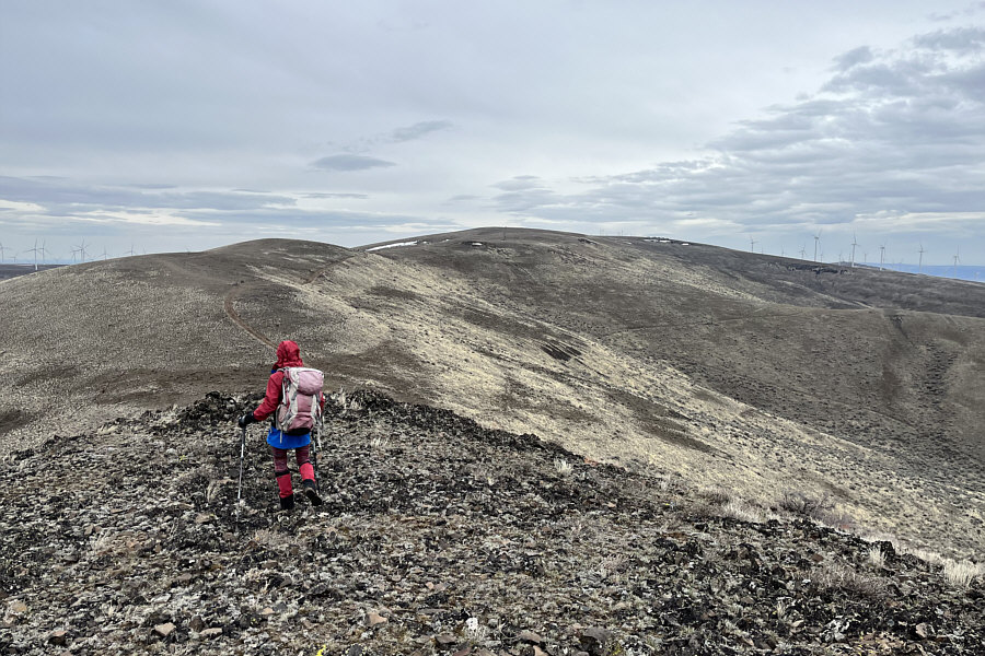 No loops; no nonsense!