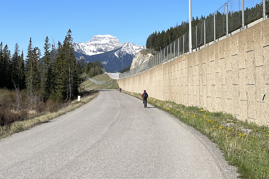 This is how we roll!