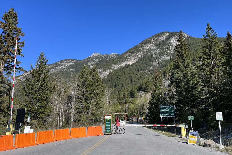 There is no parking here except for handicapped vehicles!