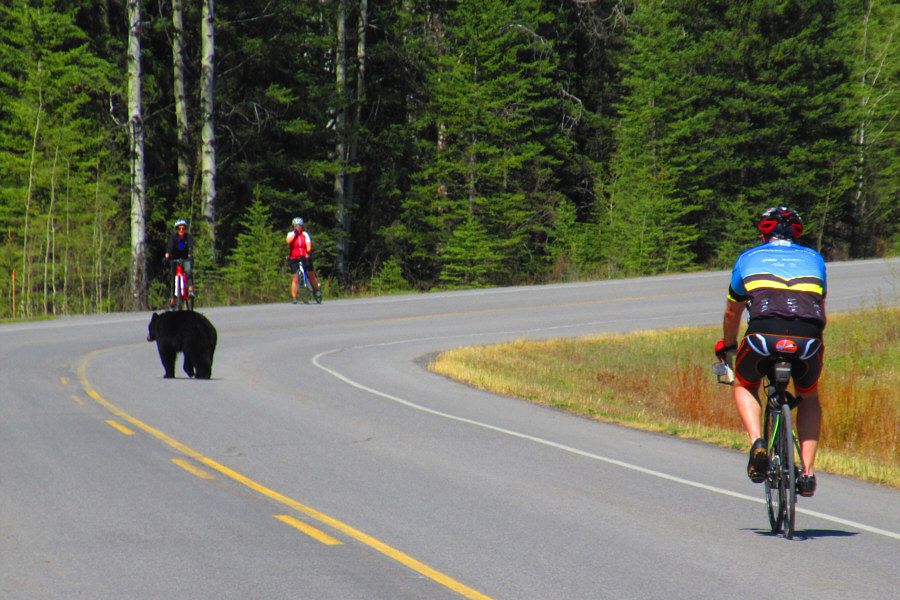 Just mindin' its own business!