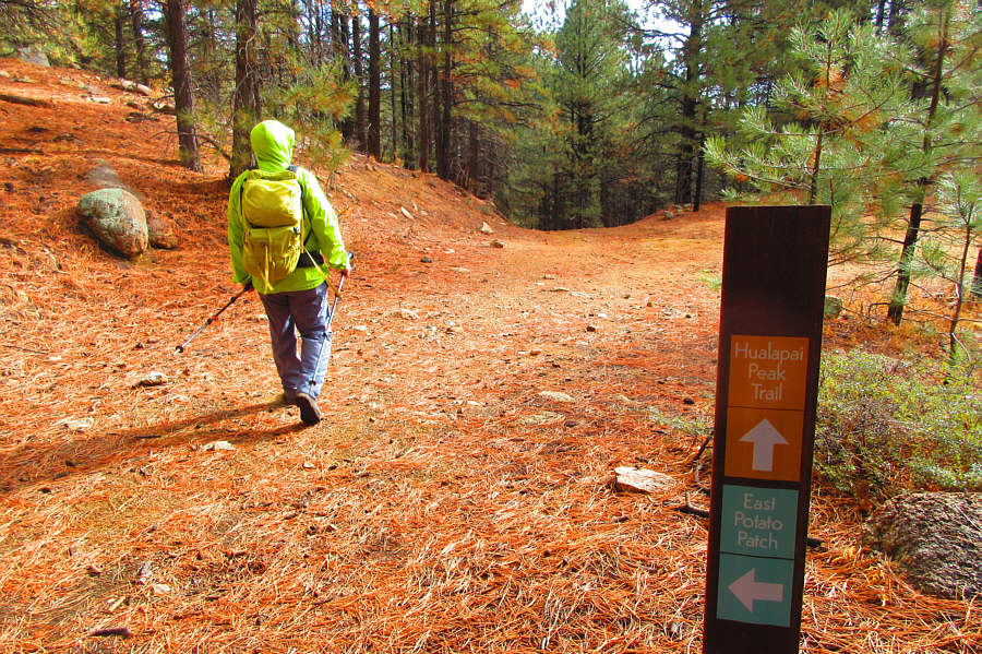 Annoying dip coming up!