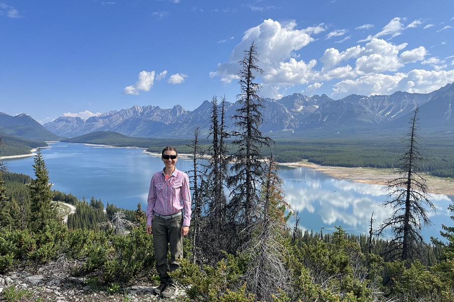 Those trees look ready to be knocked down by a strong wind or chainsaw...