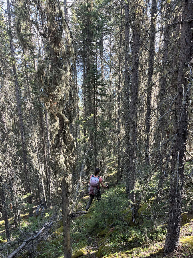 It's better to descend here than to come up this way!