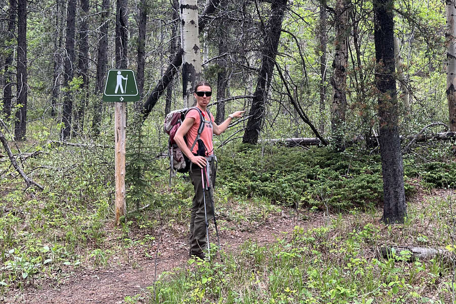 Or go straight into the bush and follow cairns.