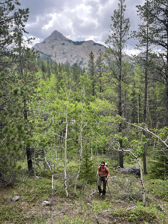 Already more views than I was expecting!