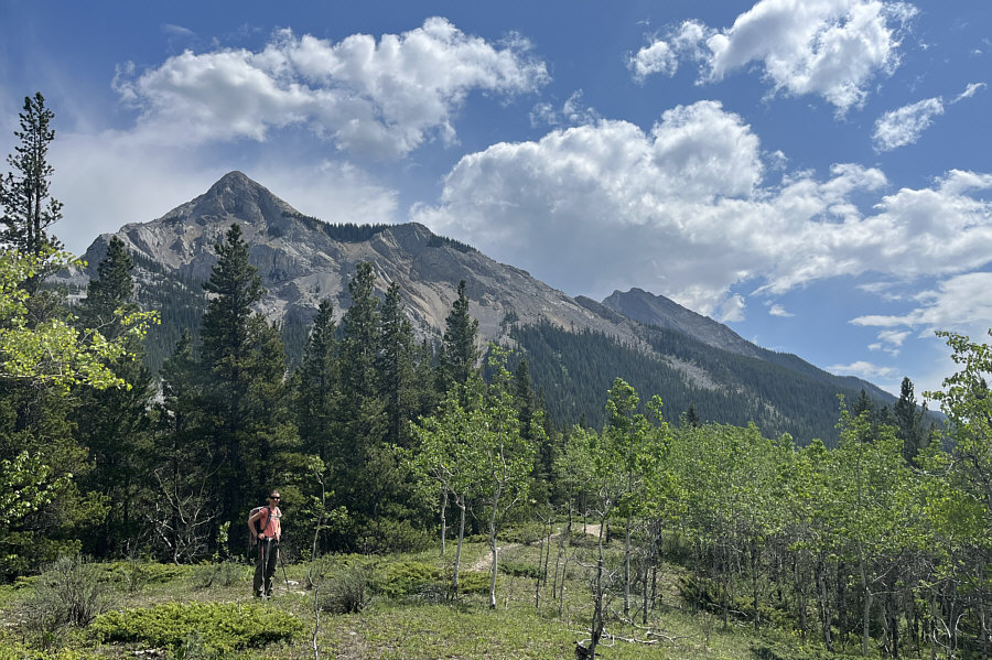 Mount Baldy towering over anything sounds strange!