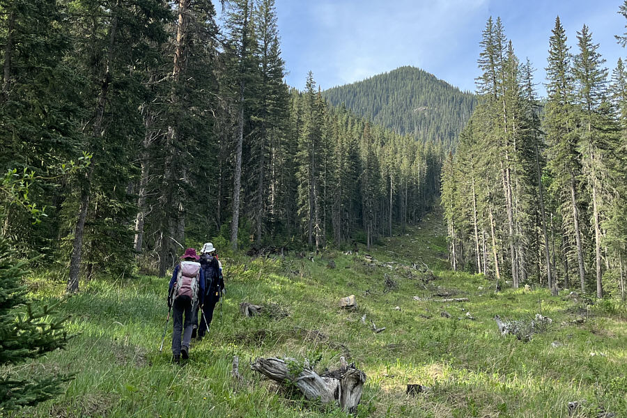 It would be a steep and possibly difficult scramble to go directly up to the viewpoint from here.